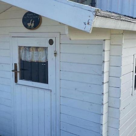 Bynaer Villa V/Ntnu.Garasje Internett, Badstue,Hage Gjøvik المظهر الخارجي الصورة