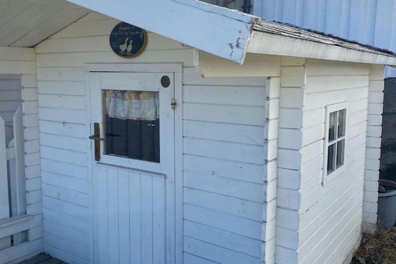 Bynaer Villa V/Ntnu.Garasje Internett, Badstue,Hage Gjøvik المظهر الخارجي الصورة